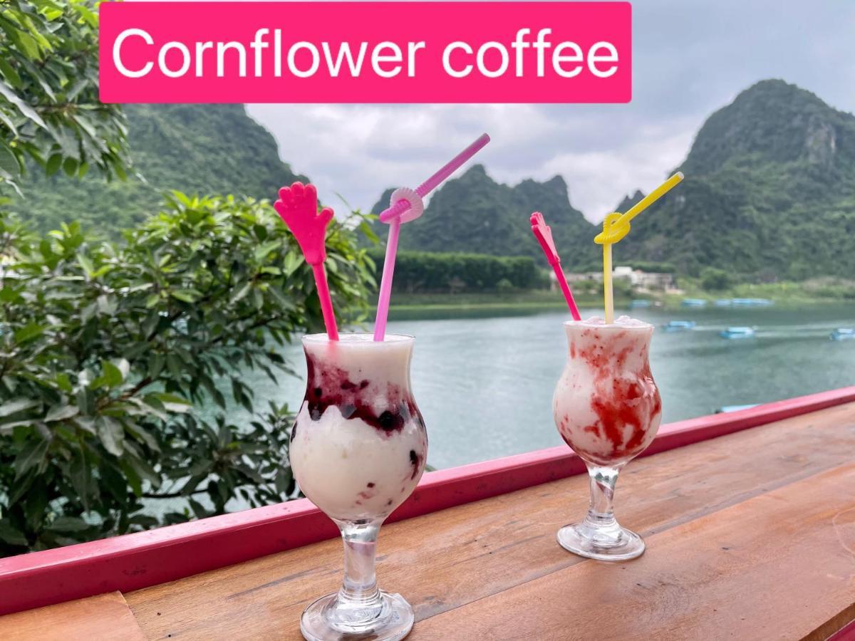 Cornflower Homestay Фонгня Экстерьер фото